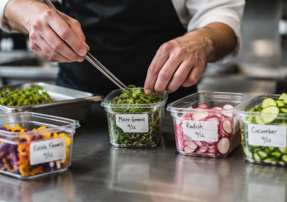 Food Preparation Basics Certificate